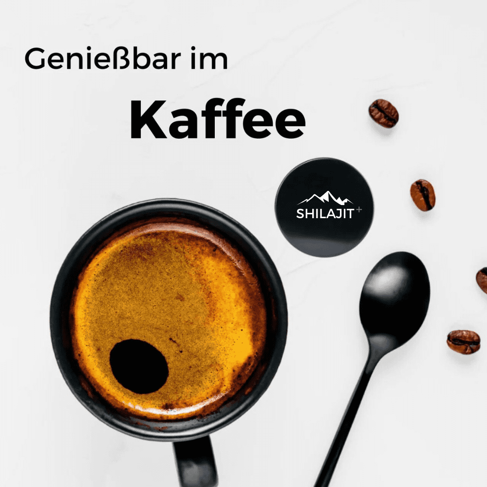 100% natürliches Himalaya Shilajit
